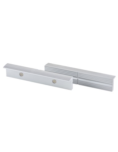 1 - COPPIA GANASCE MAGNETICHE FERVI 0042/150
