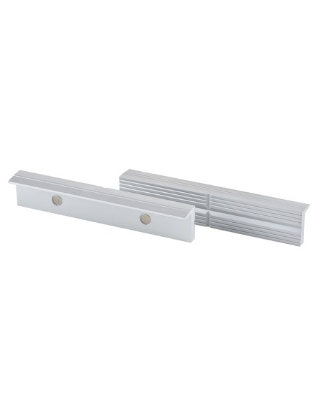 1 - COPPIA GANASCE MAGNETICHE FERVI 0042/150