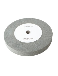 1 - Scheppach Mola Abrasiva 88000869 200x25x16 Grana 60
