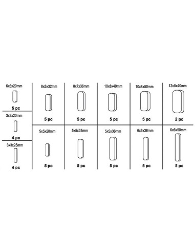 2 - Serie set kit assortimento 60 chiavette parallele Fervi 0257