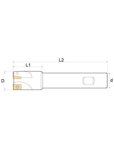 3 - Fresa a inserto Fervi f300/25/16