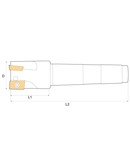 3 - Fresa a inserto x spallamenti 40 mm x fresatrice Fervi f400/040cm4