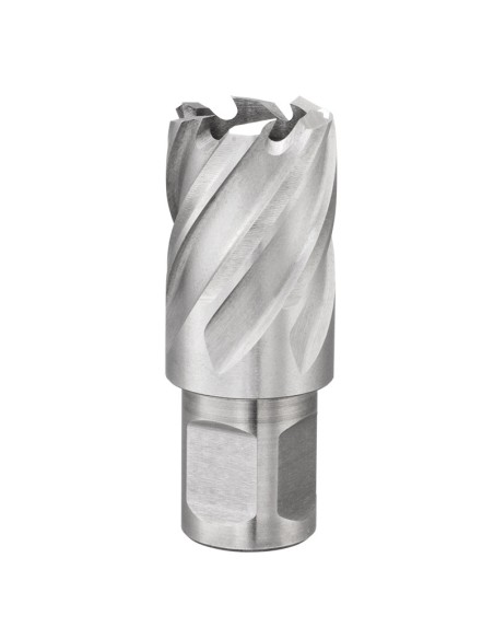 1 - Fresa a tazza con attacco weldon 22 mm Fervi f011/22