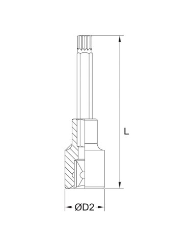 2 - Chiave a bussola con inserto lungo xzn m10 1/2 Fervi bn443l010a