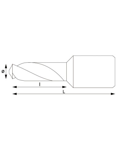 2 - Punta con attacco weldon 6x30 mm Fervi f002/006p