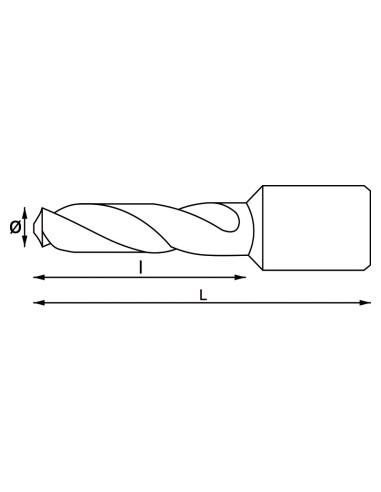 2 - Punta lunga con attacco weldon 9x55 mm Fervi f002/009pl