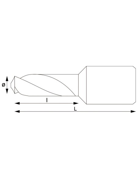 2 - Punta con attacco weldon 10x30 mm Fervi f002/010p