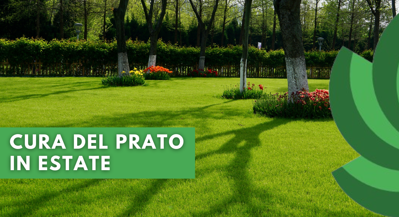GIARDINAGGIO IN ESTATE: TRE CONSIGLI PER UN PRATO PERFETTO