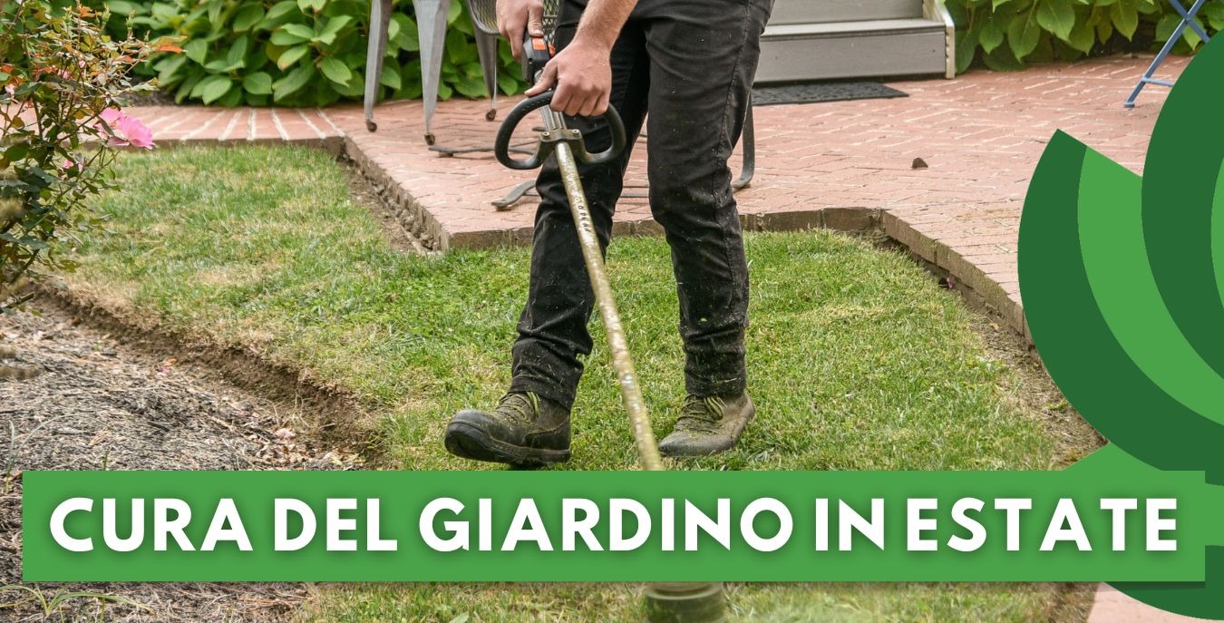 CURA DEL GIARDINO IN ESTATE: CONSIGLI E ATTREZZI ESSENZIALI 